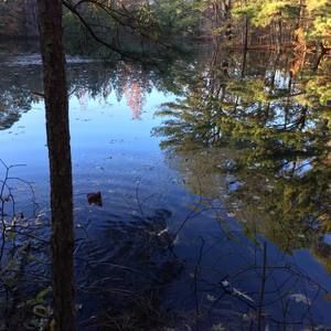 Meet your Posher, Victor